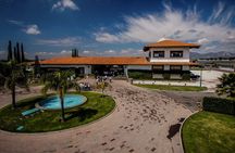 Cheese and Wine Tour in a Day from Queretaro