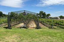 Cheese and Wine Tour in a Day from Queretaro