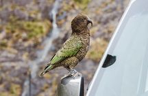 Small Group, Award Winning Milford Sound Day Experience & Cruise