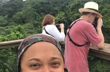 Highlights of Birdwatching and nature in the Pipeline Road 