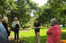 Kwizine Foodie Tour In Western Bay Of Plenty