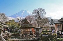 Full Day Tour of Mount Fuji and Hakone from Tokyo