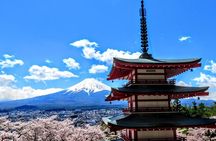 Full Day Tour of Mount Fuji and Hakone from Tokyo