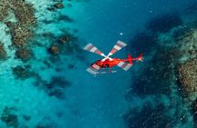 Ultimate Great Barrier Reef and Rainforest 45-minute Helicopter Tour