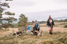 Husky Hike and Puppy Visit with Lunch