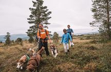 Husky Hike and Puppy Visit with Lunch