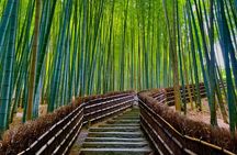 Kyoto Early Bird English Tour: Fushimi-Inari and Arashiyama