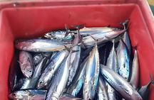 Bali Fishing Charter Private Boat