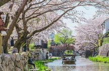 From Nagoya: Castles and Canals in Hikone and Omi Hachiman