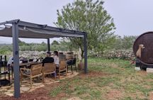 Hvar Island Cooking Class: A Farm-to-Table Experience