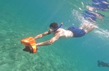 snorkeling ,Turtle Watching in Cyprus