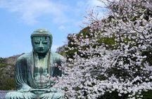Kamakura Full Day Tour: Kotoku-in & Enoshima & Hachimangu Shrine 