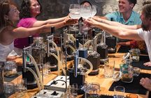 Habitat Gin Lab Experience