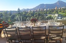 Chilean Cooking Class in Santiago with Wine Pairings 