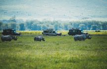 4 Days Wildlife Safari in Tanzania