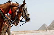 Cairo/Giza: Arabian Horse Tour Around the Giza Pyramids