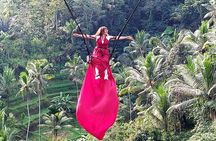 Ubud Private Tour : Waterfall, Temple, Rice terrace and Swing