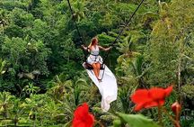 Ubud Private Tour - All Inclusive