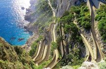 Capri Express: Explore Capri in a Day - Cruise Friendly 