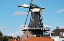 Haarlem Private Day Trip from Amsterdam with Local