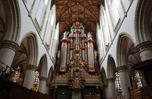 Private Haarlem Day Trip from Amsterdam by Fast Train