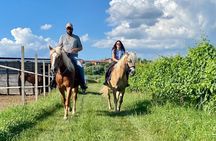 Horseback Riding with Pic Nic in Lazise Countryside