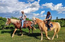 Horseback Riding with wine tasting in Lake Garda vineyards
