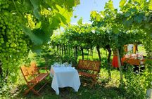 Horseback Riding with Pic Nic in Lazise Countryside