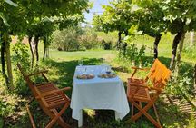 Horse Carriage Tour and Wine Tasting in Lazise