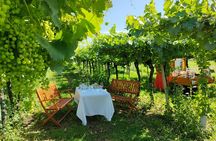 Horse Carriage Tour and Wine Tasting in Lazise
