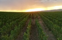 Private group play and Champagne tasting Domaine Coutant