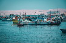 4 Days and 3 Nights Tour in Lima, Paracas, Ica and Nazca