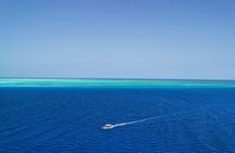 Zanzibar 1 Day Scuba Diving double dive,blue trip experience