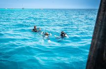 Zanzibar 1 Day Scuba Diving double dive,blue trip experience