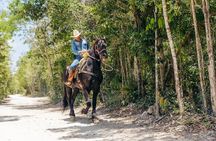 Tour Nature on horseback and cenote