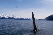 Tonsina Beach Hike with Seward Guided Hikes