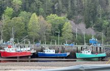 Private Guided Fundy Tour in Saint John