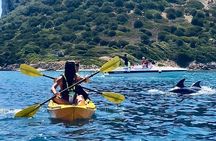 Golfo Aranci: Kayak tour with aperitif&dolphin sighting (max 9 Pax)