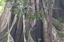 Amazon Paradise 3 Days and 2 Nights Ecolodge