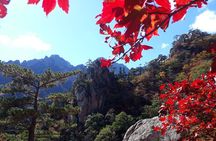 Autumn Foliage-Mt. Seorak, Sokcho Beach, Market, Observatory