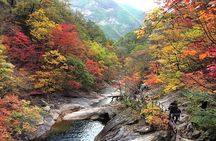 Mt. Seorak+Nami Island+Garden of Morning Calm Day Trip from Seoul