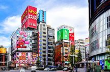 The Best of Tokyo: Tailored 1-2-Day Private Tour