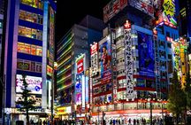 The Best of Tokyo: Tailored 1-2-Day Private Tour