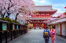 Tokyo City Tour by Private Car & English guide