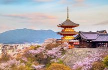 Osaka & Kyoto & Nara Top Hightlights English Speaking Tour
