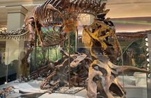 Smithsonian Natural History Museum Exclusive Guided Tour