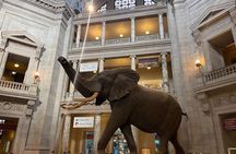 Smithsonian Natural History Museum Exclusive Guided Tour