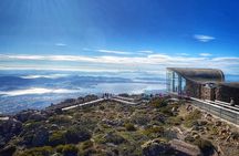 kunanyi/Mt Wellington Ultimate Experience Afternoon Tour