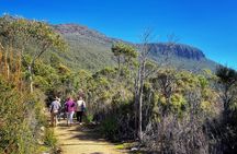 kunanyi/Mt Wellington Ultimate Experience Afternoon Tour