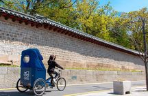 Cheonggyecheon Night Private Tour